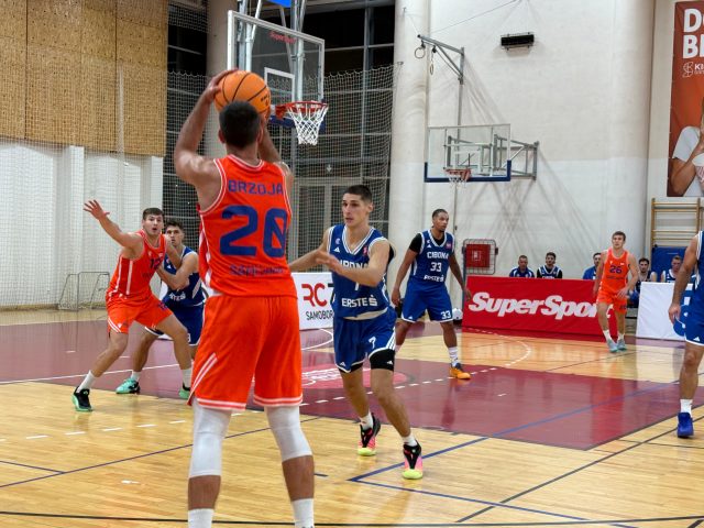 Cibona od početka do kraja kontrolirala susret i slavila u Samoboru